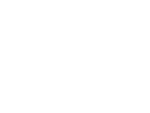 Salestastic-Logo white