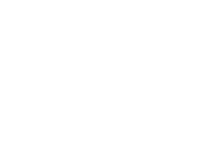 Salestastic-Logo white